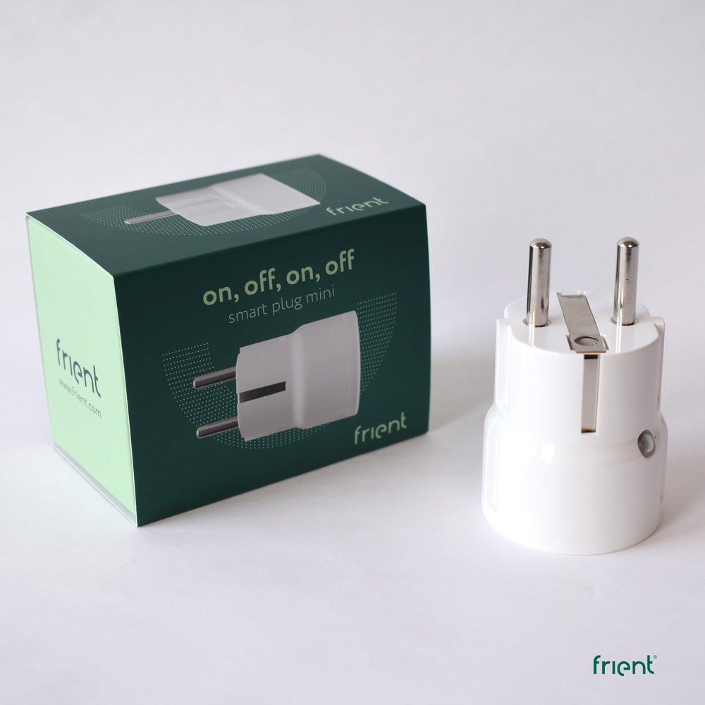 Friend Plug Mini 2 Type E (français)