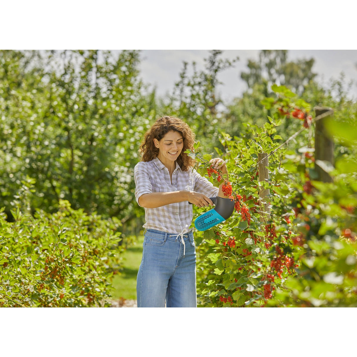Gardena Combisystem berry picker set