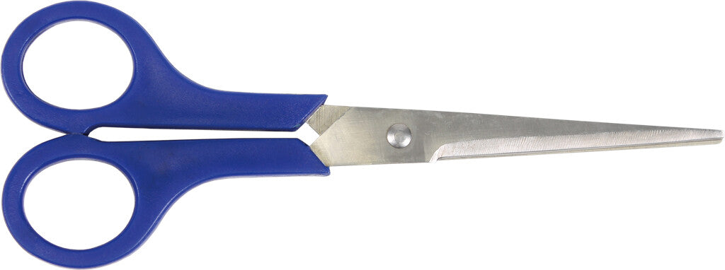 Schere Edelstahlzyklus 20 cm