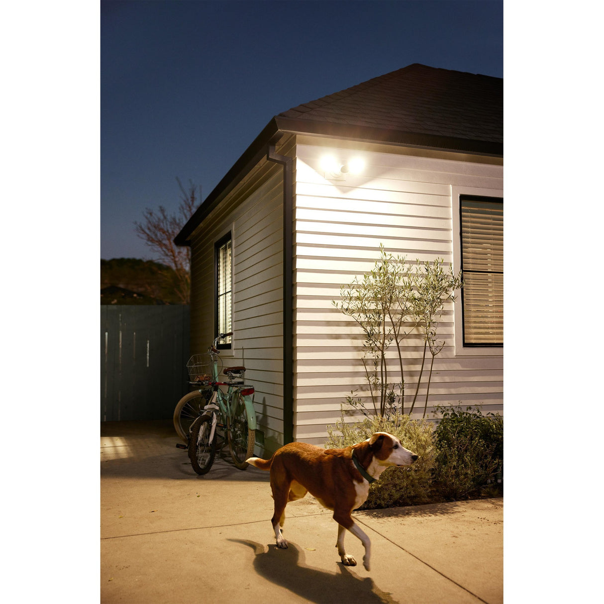 Google Cam with Floodlight