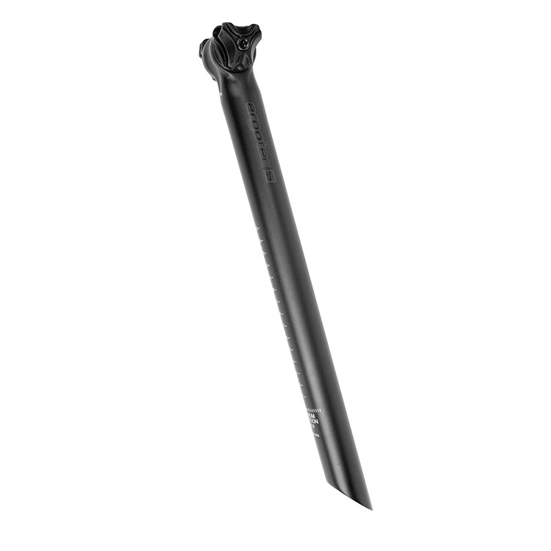Ergotec seat post Viper 10 ° 31.6 x 400 black matte
