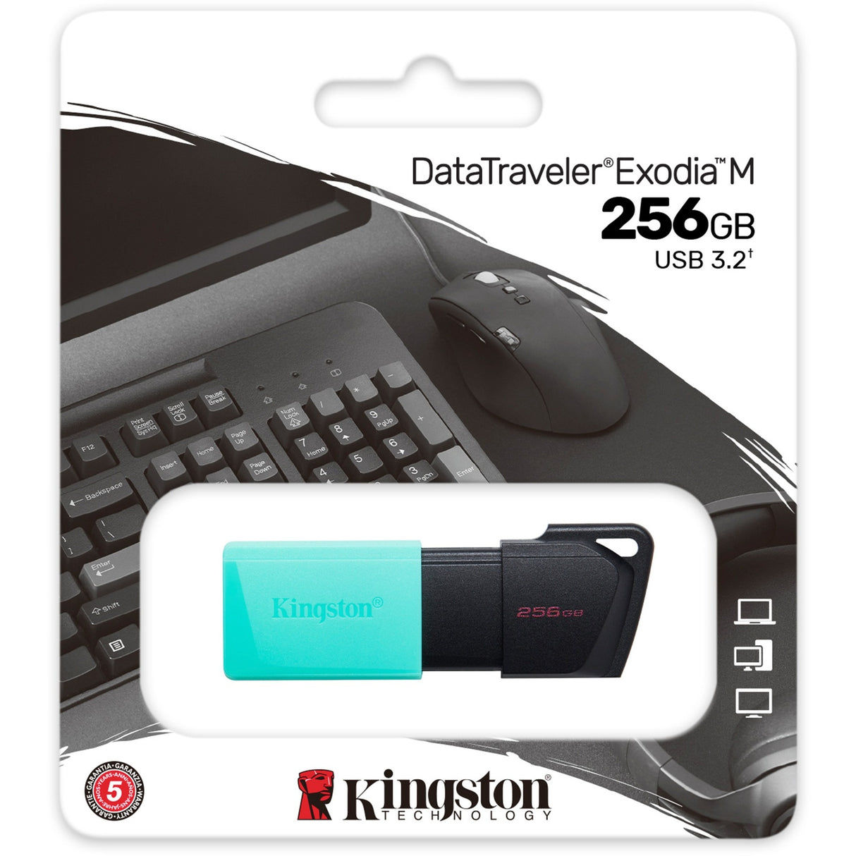 Kingston DataTraveler Exodia m 256 Go