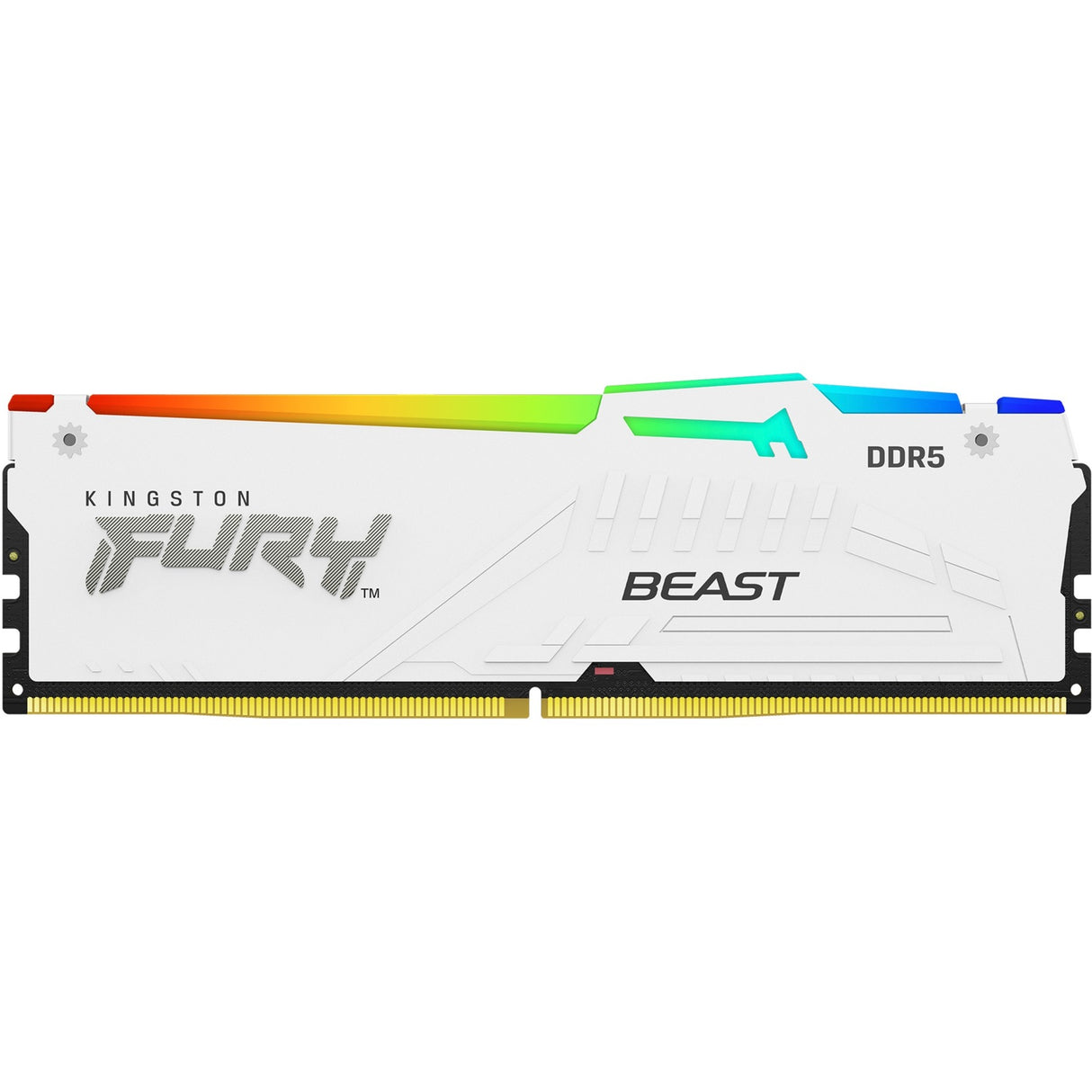 Kingston Fury Kingston Fury 16 GB DDR5-5600