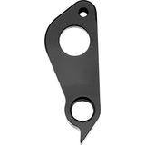 Union derailleur hanger gh-290 Focus