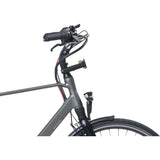 Basil Ahead -Stemtrolder KF - Ahead