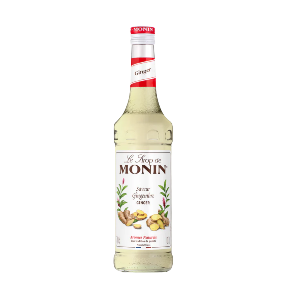 Sirop concentré de gingembre Monin (70cl)