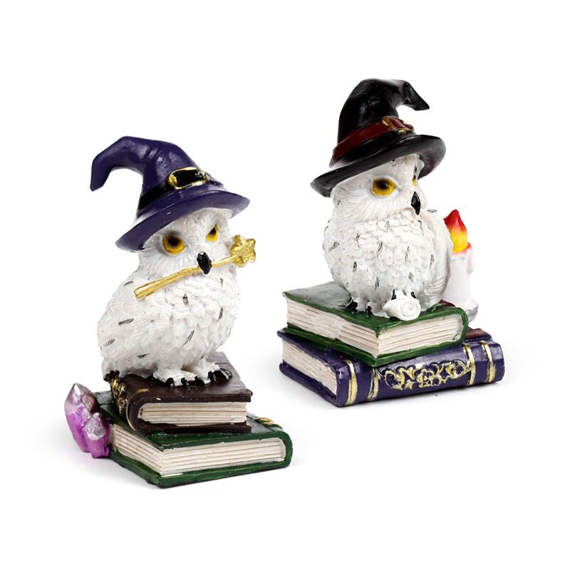 Wise old magical owl on spell book