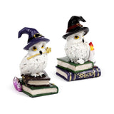 Wise old magical owl on spell book