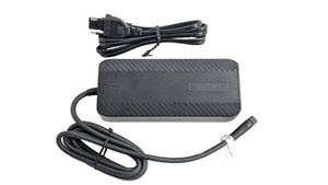 Darfon 2A Charger Integrated DT Battery STEPS Type G