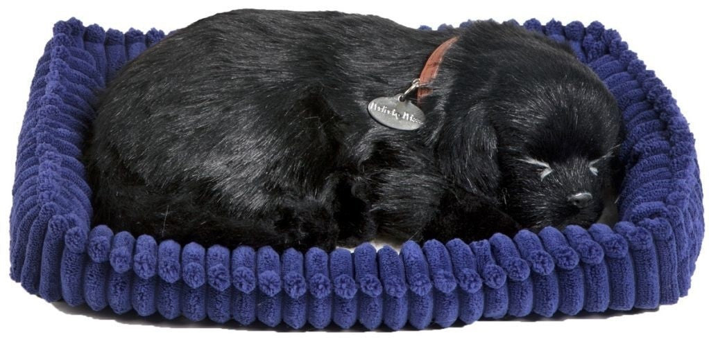 Perfect pet zzz soft black labrador (96323)