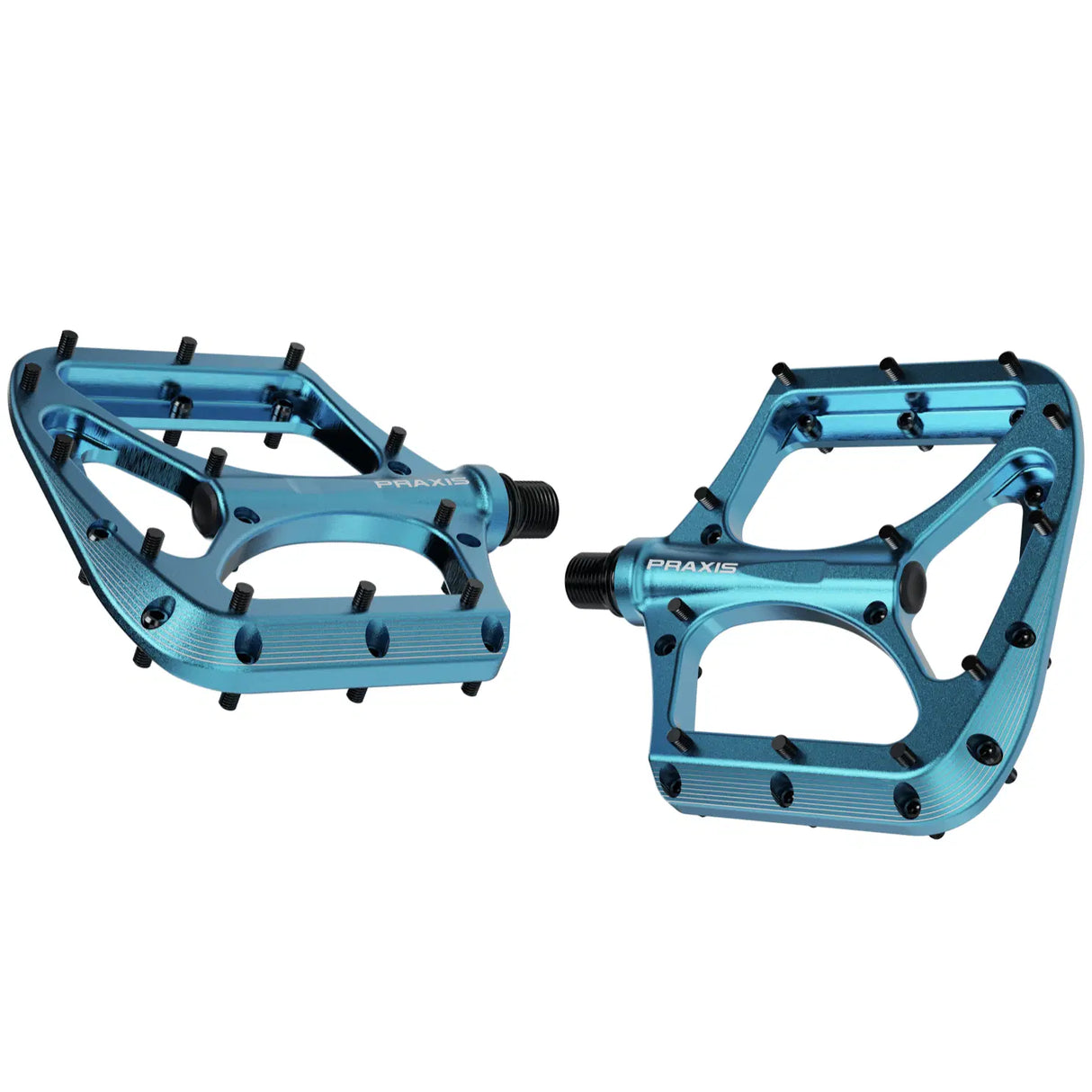 Praxis pedal broodium aqua