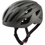 Alpina sports race helm path 55-59 mat grijs