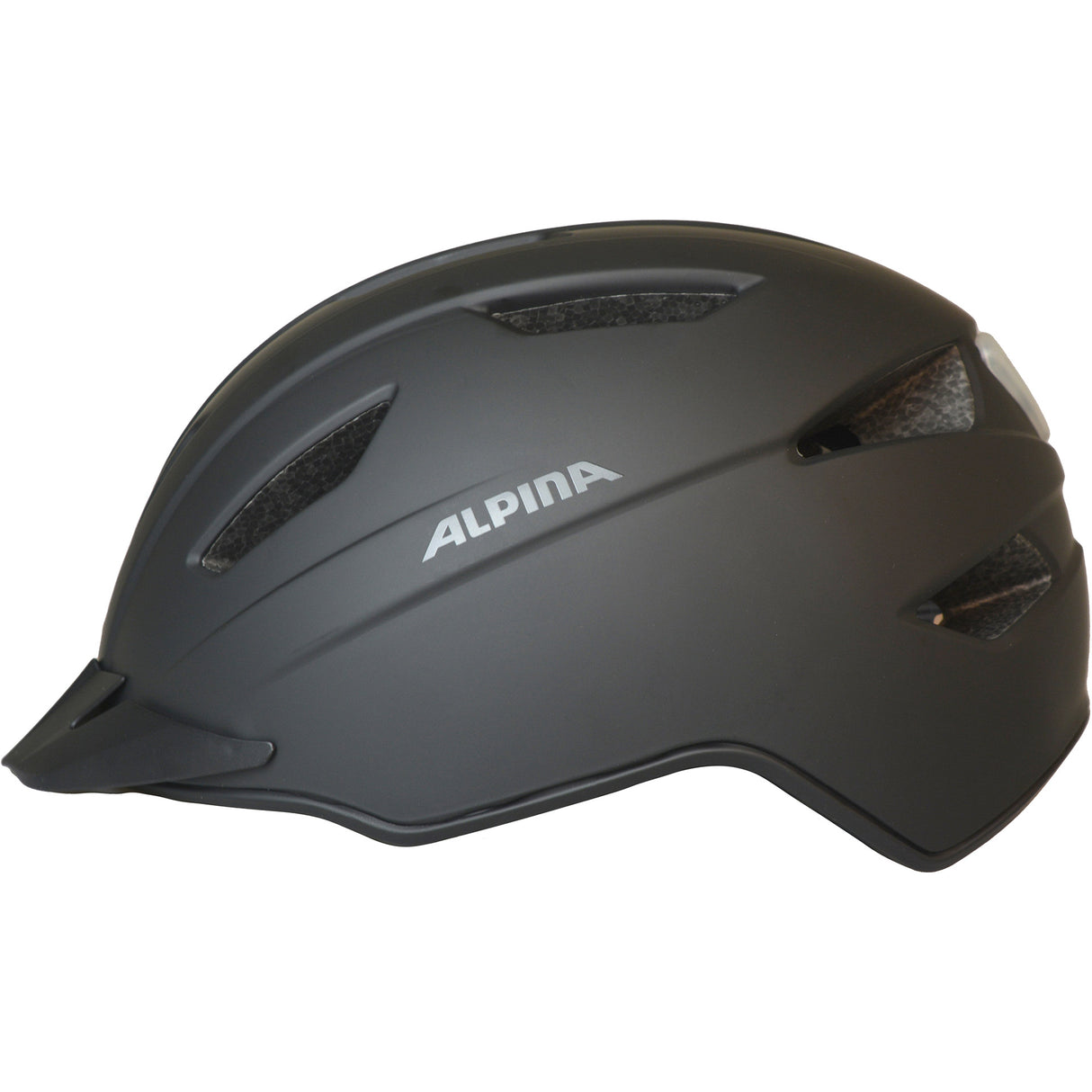 Alpina Casque Tajo Speedelec Black Mat 55-61