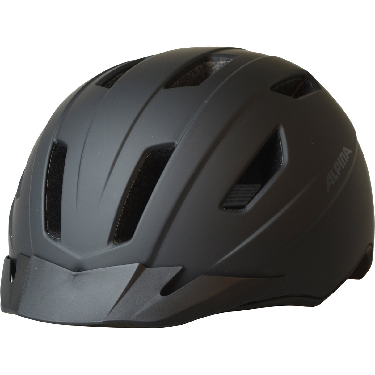 Alpina Casque Tajo Speedelec Black Mat 55-61