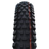 Schwalbe tire 29 albert gravity pro