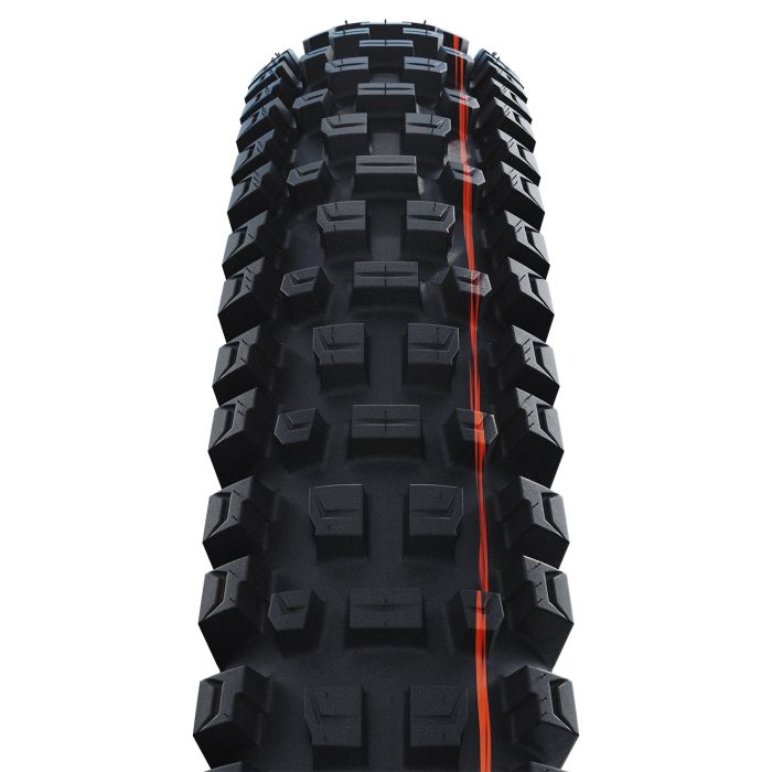 Schwalbe 29 Albert Trail Pro Tire