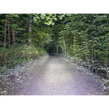 Sigma helmet lamp buster 1600 hl LED USB-C