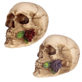 Skull con rosa tra gli accessori per la casa dei denti