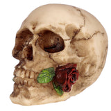 Skull con rosa tra gli accessori per la casa dei denti