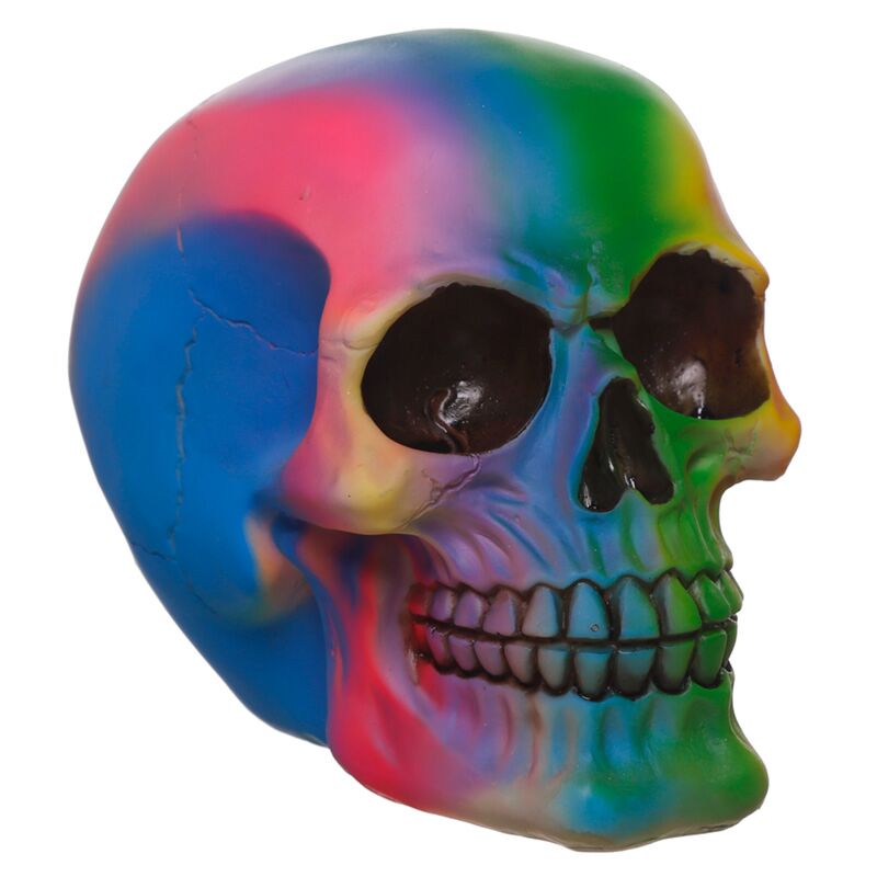 Rainbow Skull Home Accessory