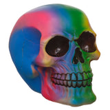 Rainbow Skull Home Accessory