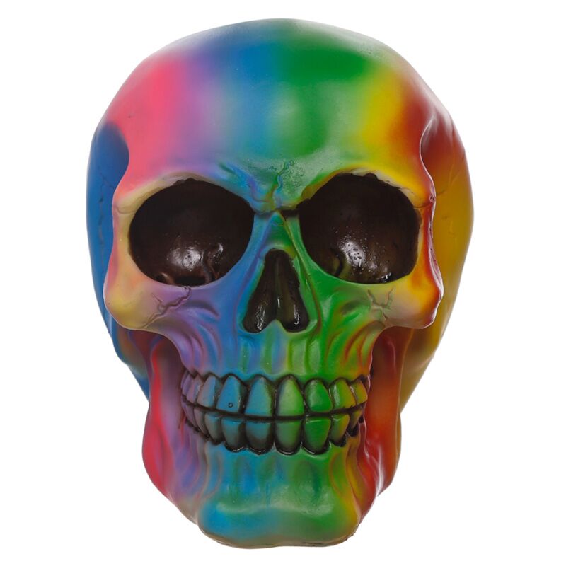 Rainbow Skull Home Accessory