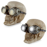 Steam punk style skull with glasses home accessory