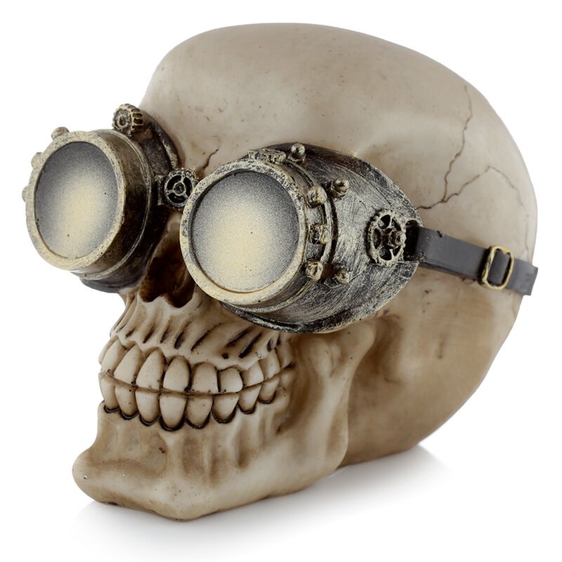 Steam punk style skull with glasses home accessory