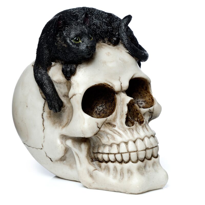 Skull with black cat home accessory