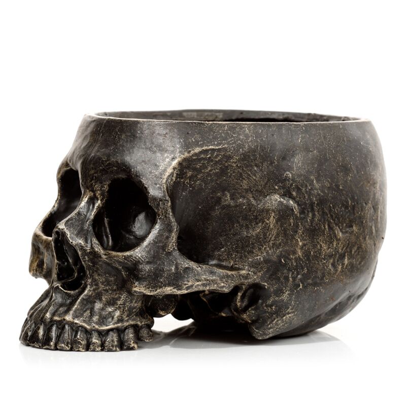 Skull flowerpot inside