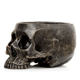 Skull flowerpot inside