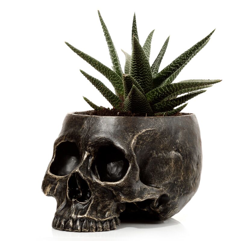 Skull flowerpot inside