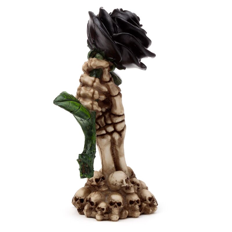 Skeleton Hand Keep Black Rose Home Apcessory