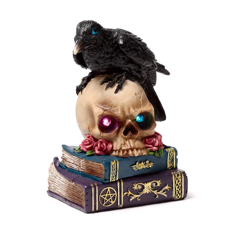 Crow perched on led skull books