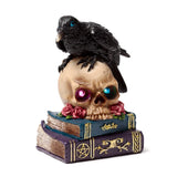 Crow perched on led skull books