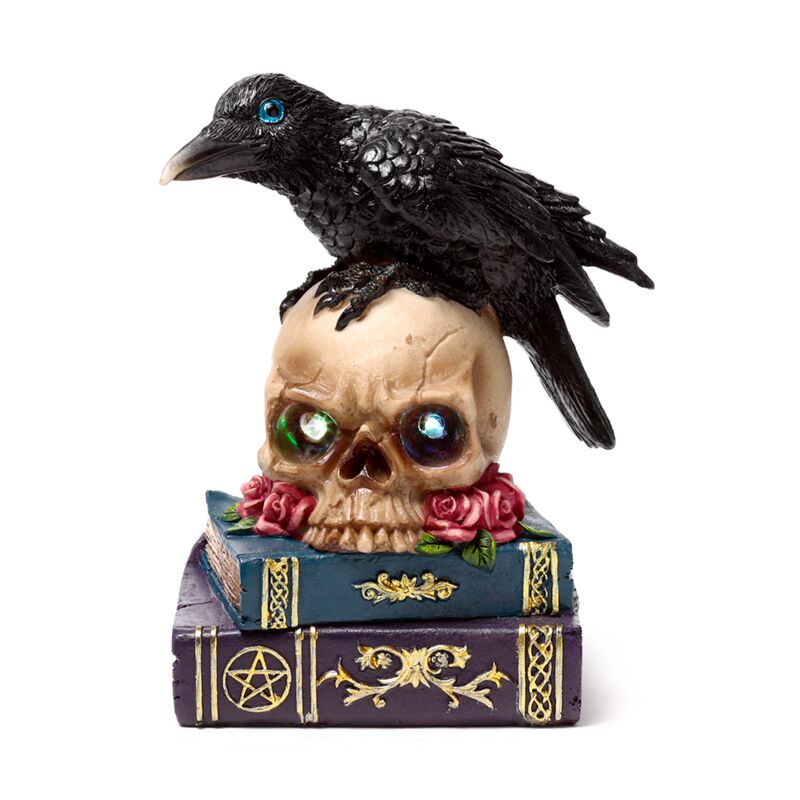 Crow perched on led skull books