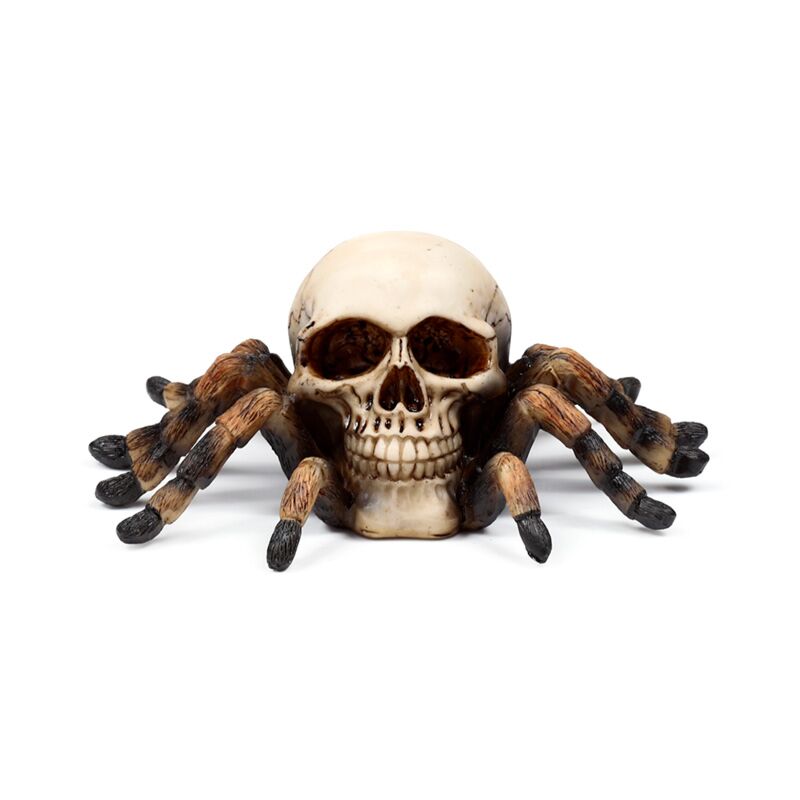 Crâne avec des jambes d'araignée