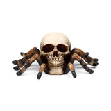 Crâne avec des jambes d'araignée