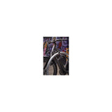 Abus Foldeslot Bordo Granit XPlus 6500K 90 Musta