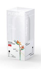 Sluban strelitzia reginae aiton (m38-b1101-01)