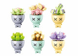 Sluban potted plants succulant (m38-b1076) display