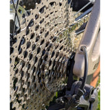 Superior Sunrace Kassette CSRZ800 12V 11-46T Silber