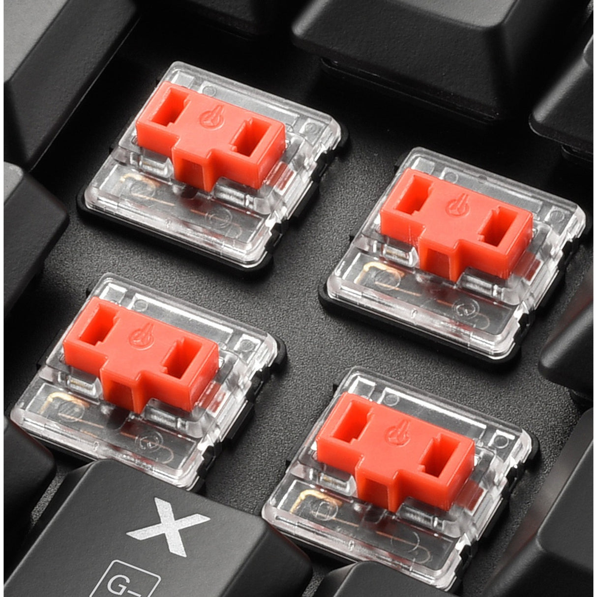 Sharkoon Purewriter TKL RGB