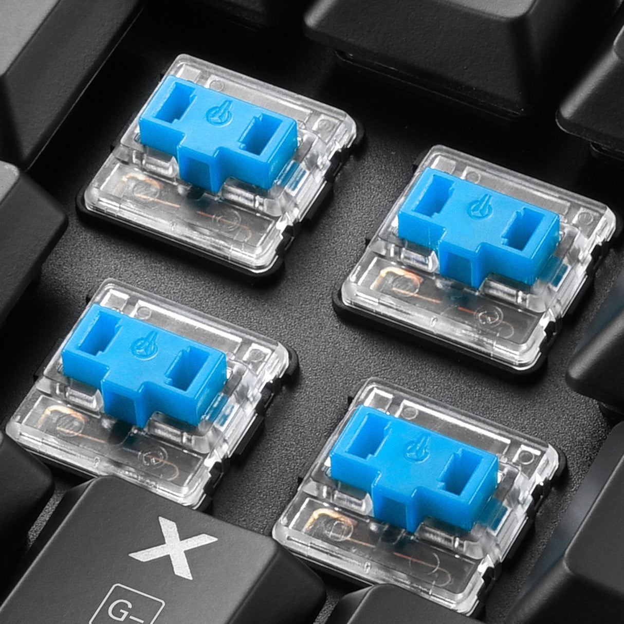 Sharkoon PureWriter TKL RGB