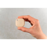 Shelly Blu Button Tward 1