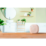 Shelly Blu Button Tward 1