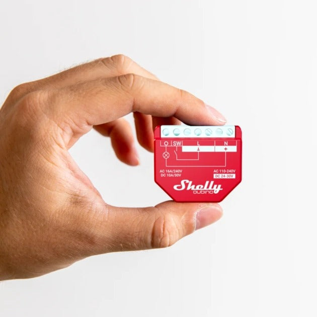 Shelly Qubino Wave 13.00