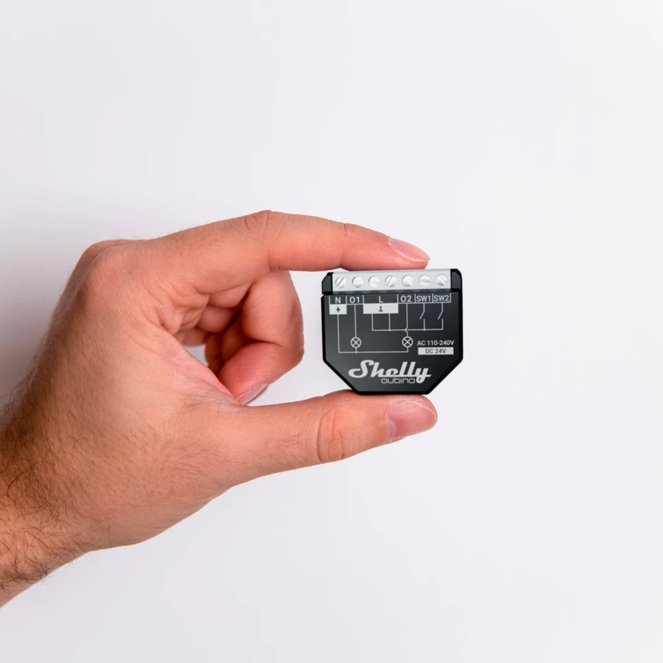 Shelly Qubino Wave 14:00