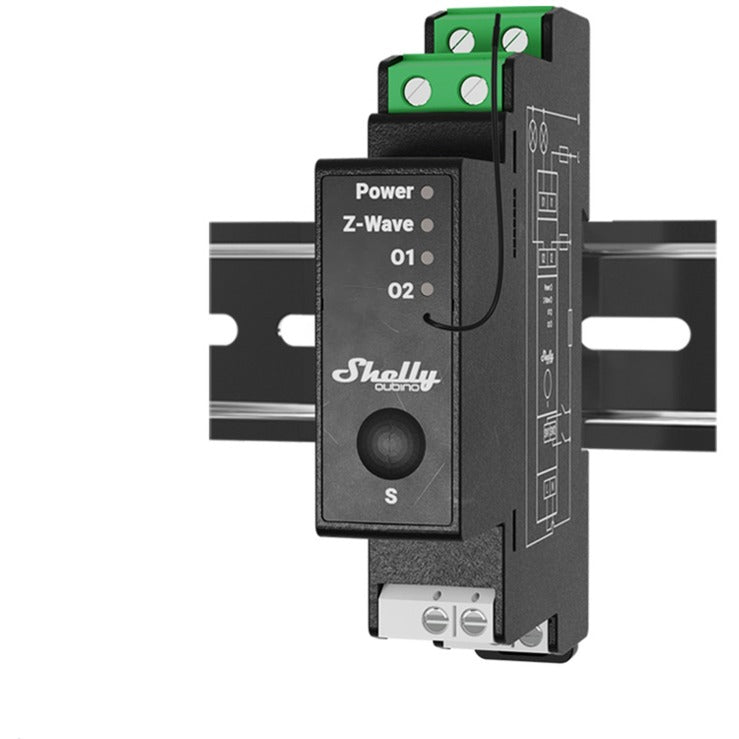 Shelly qubino onda alle 14:00