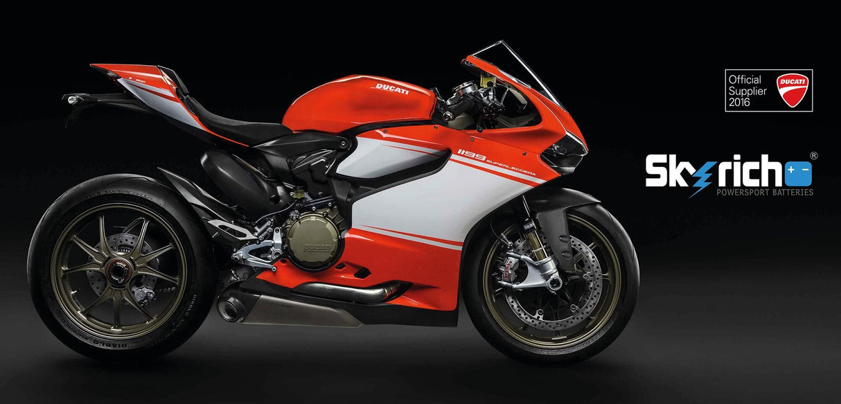 Bateria Skyrich lifepo4 hjtz10s-fp. bateria hjtz10s-fp-i litowa